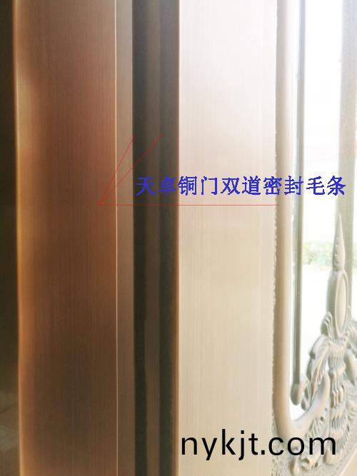 天卓铜门 天卓铜门