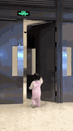 多玛凯拔自动平开门机组ED250  多玛凯拔自动平开门机组ED250