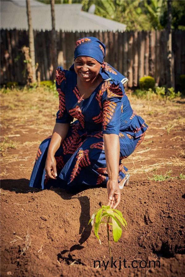 盖泽自动门全球森林计划 ,用心赠予世界一片绿洲 盖泽自动门全球森林计划 ,用心赠予世界一片绿洲