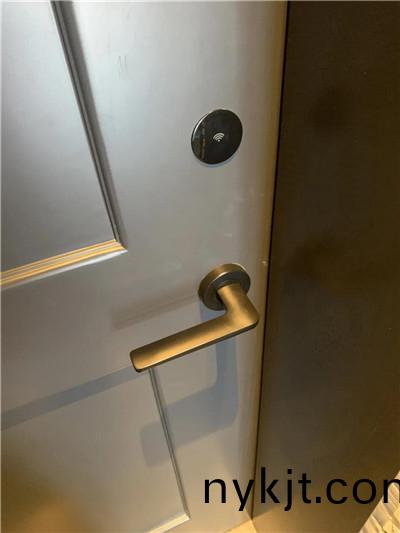 多玛凯拔Quantum Pixel 系列酒店锁+数字钥匙解决方案  多玛凯拔Quantum Pixel 系列酒店锁+数字钥匙解决方案