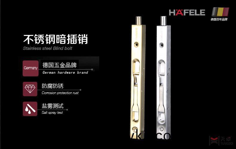 海福乐不锈钢暗插销