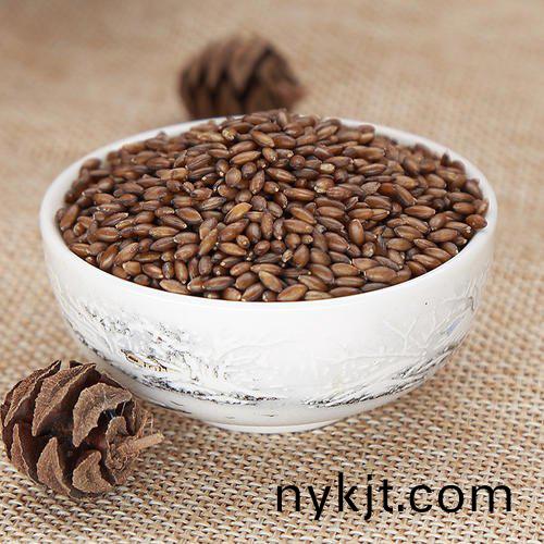 门店商铺铜门 门店商铺铜门