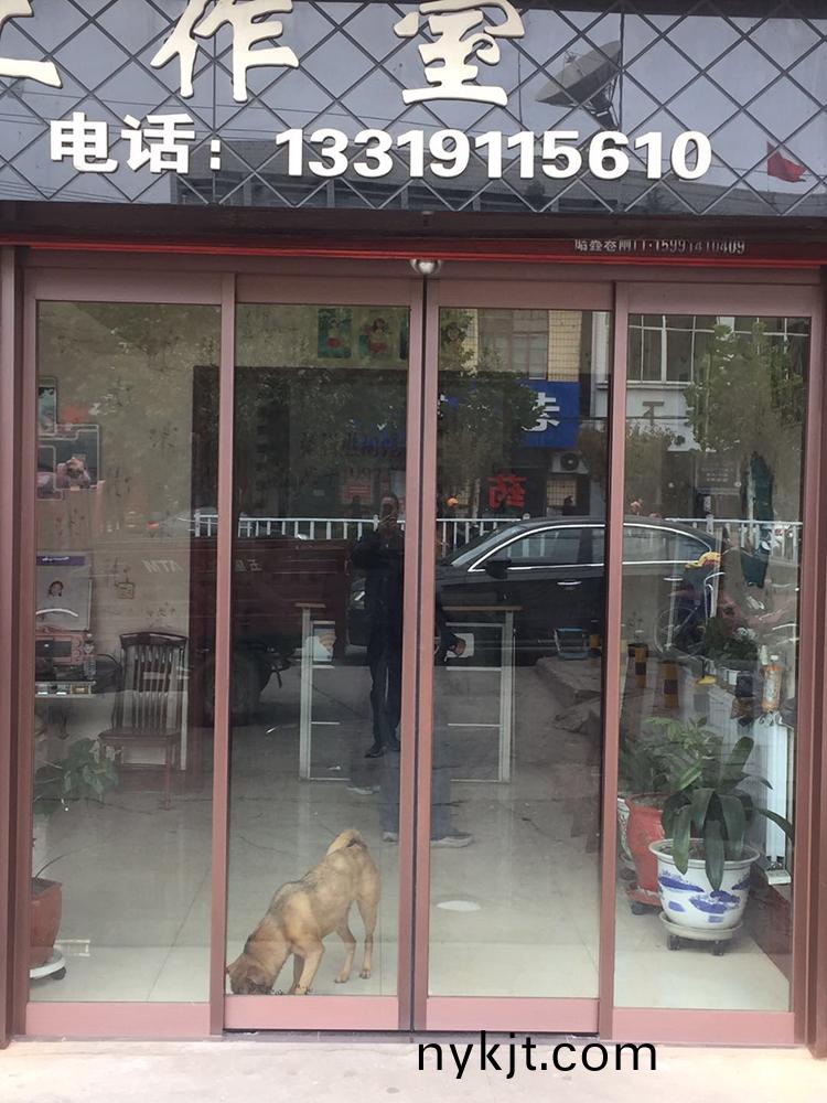 延安儿童摄影商铺门店自动门 延安儿童摄影商铺门店自动门