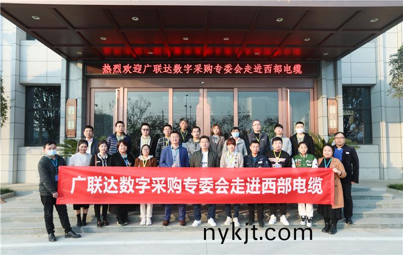 杨凌西部电缆办公楼铜自动门,铜雨棚 杨凌西部电缆办公楼铜自动门,铜雨棚